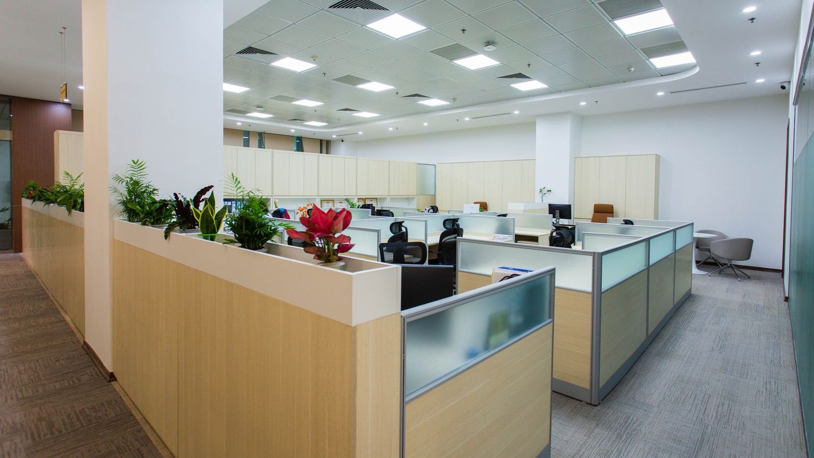 An empty open-plan office with neatly arranged desks and chairs, dotted with green potted plants.